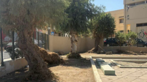 Συνεχίζονται τα έργα συντήρησης και καλλωπισμού του πρασίνου σε όλα τα σχολεία του Δήμου Ηρακλείου