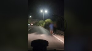 Λαχτάρησαν οι οδηγοί στον ΒΟΑΚ με το ζευγάρι που διέσχισε κάθετα το δρόμο 