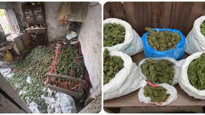 Οικογενειακή μπίζνα η υπόθεση με τα 14 κιλά κάνναβης στο Αμάρι