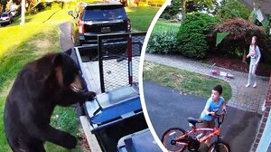 Αρκούδα τρομοκρατεί παιδιά στην αυλή του σπιτιού τους