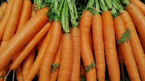 Πώς τα καρότα επηρεάζουν την αρτηριακή πίεση
