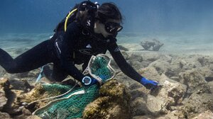 ΔΕΗ και iSea ένωσαν δυνάμεις για τον καθαρισμό απομακρυσμένων ακτών σε περιοχές Natura 2000