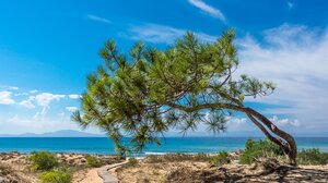 Διαδικτυακό εκπαιδευτικό σεμινάριο για τη βιοποικιλότητα
