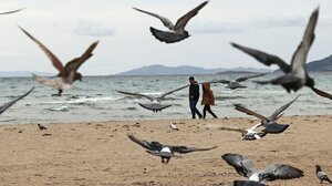 Και το... καλοκαιράκι στην Κρήτη συνεχίζεται - Χιόνια σε Ήπειρο και Μακεδονία!