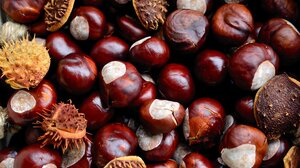 Γιορτή Κάστανου, 3 μέρες γεύσης και παράδοσης