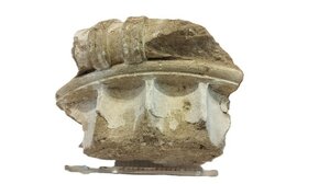 Αρχαία Ολυμπία: Επαναπατρίστηκε από τη Γερμανία θραύσμα κιονόκρανου του Λεωνιδαίου