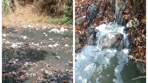 Ρέθυμνο: Τα λύματα "πνίγουν" τον Γεροπόταμο και μία ολόκληρη περιοχή στον Μυλοπόταμο! (βίντεο)