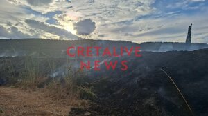 Πυρκαγιά στις Μαλάδες: Μεγάλη κινητοποίηση από γης και αέρος (βίντεο & φωτογραφίες)