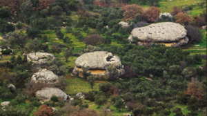 Πρινιάς: Κάντε μία βόλτα σε πατητήρια και τις πίτες (ή τυριά) της γριάς!