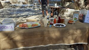 Μουσείο Λυχνοστάτης: Φραγκόσυκο, ένα μυστικό με αγκάθια 