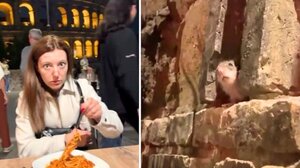 Ιταλία: Αρουραίος κατέστρεψε ρομαντικό δείπνο ζευγαριού στη Ρώμη (βίντεο)