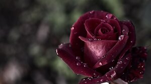 Απέραντη θλίψη για το θάνατο του αγαπητού γιατρού