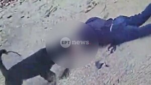 Μάχη για τη ζωή του δίνει ο 76χρονος που του επιτέθηκε ροτβάιλερ