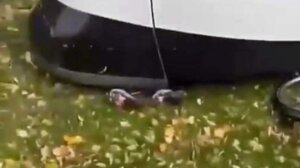 Στρασβούργο: 8χρονος εγκλωβίστηκε κάτω από τραμ