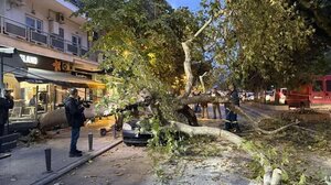 Θεσσαλονίκη: Δύο πτώσεις δέντρων λόγω της κακοκαιρίας