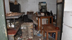 Πρωτοφανές πρόστιμο πάνω από 1,7 εκατ. ευρώ σε 63χρονο που βασάνιζε ζώα!