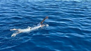 Από την Πάφο στην Αγία Νάπα κολυμπώντας 170 χιλιόμετρα