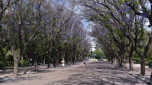 Γενικά αίθριος ο καιρός σήμερα