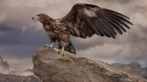 «Σαββάτο μέρα ήτανε» - Ένα ποίημα από τις Καμάρες για το αιματοκύλισμα στα Βορίζια!