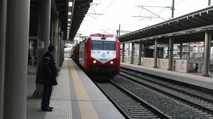 Hellenic Train και ΟΣΕ αλληλοκατηγορούνται για το τρένο στον Σιδηροδρομικό Σταθμό της Σίνδου