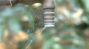 Ευθύμιος Λέκκας: "Γιατί η αφαλάτωση δεν είναι η λύση για τη λειψυδρία"