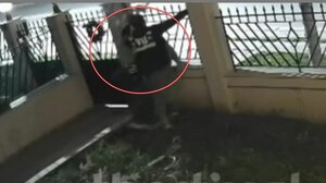 Θεσσαλονίκη: Επιχείρησε να κλέψει xριστουγεννιάτικο δέντρο από κήπο - Βίντεο