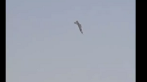 Έπεσε ινδικό μαχητικό τύπου Tejas στο Dubai Airshow - Νεκρός ο πιλότος