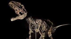 Βρετανία: Οι αρχές κατάσχεσαν από επιχειρηματία από τη Σιγκαπούρη σπάνια οστά δεινοσαύρων αξίας εκατομμυρίων λιρών