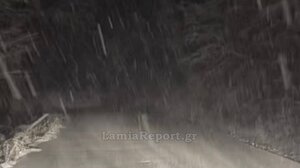 Φθιώτιδα: Πρώτη πυκνή χιονόπτωση για τον φετινό χειμώνα