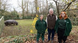 Ο ζωολογικός κήπος του Δουβλίνου πραγματοποίησε την πρώτη επέμβαση καταρράκτη σε ιπποπόταμο