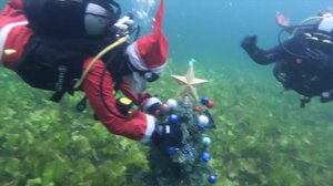 Χριστούγεννα στο βυθό: Κροάτες δύτες στόλισαν δέντρο στη λίμνη Γιάρουν