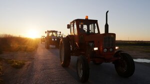 Διορθώσεις αγροτεμαχίων στο ΟΣΔΕ- Τι προβλέπεται με έξτρα πληρωμή τσεκ 