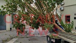 Έγειρε το δέντρο στην οδό Μαστραχά στο Ηράκλειο