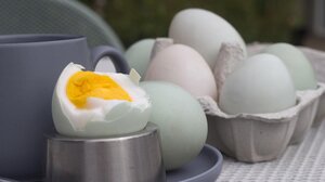 Τι σημαίνει το πράσινο "δαχτυλίδι" γύρω από τον κρόκο του αυγού – Πόσο ανησυχητικό είναι