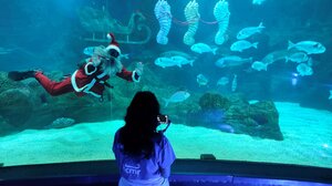 Ο Άγιος Βασίλης… με αναπνευστήρα στο Ενυδρείο Κρήτης στέλνει ευχές στους μικρούς ασθενείς 