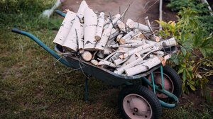 Άγιος Νικόλαος: Δωρεάν καυσόξυλα σε δημότες και μόνιμους κατοίκους 