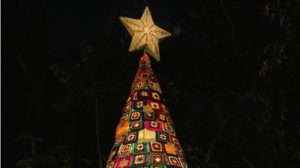 Ινδία: Ένα χειροποίητο χριστουγεννιάτικο δέντρο έδωσε φωνή στις γυναίκες της Γκόα