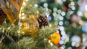 Ηράκλειο: Έκλεψαν χριστουγεννιάτικο δέντρο από σχολείo!