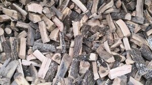 Τραγωδία στη Χαλκιδική: Ηλικιωμένος καταπλακώθηκε από κορμό δέντρου προσπαθώντας να κόψει ξύλα