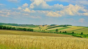 ΑΑΔΕ: Τέλος στα "παιχνίδια" με το Ε9 - Νέα εποχή ελέγχων για τις αγροτικές επιδοτήσεις