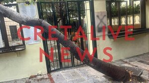 Πτώση δέντρου στο κέντρο του Ηρακλείου - Φωτογραφίες & βίντεο