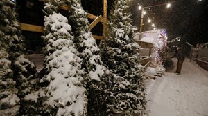 Ντοκιμαντέρ για 5 οικογένειες εμπόρων χριστουγεννιάτικων δέντρων στη Νέα Υόρκη