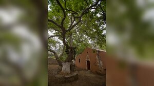 Ανακαλύψτε την Ιερά Μονή Αγίου Ιωάννη του Προδρόμου