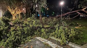 Αλεξανδρούπολη: Ανεμοστρόβιλος με ριπή 154.5 χλμ. σάρωσε το κέντρο της πόλης