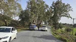 Νοτιάδες στην Κρήτη: Τμήμα ευκάλυπτου έπεσε σε καλώδιο της ΔΕΗ - Η έκκληση του Δήμου Αρχανών Αστερουσίων