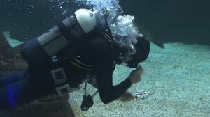 Θεοφάνια: Η ξεχωριστή και καθιερωμένη τελετή στο Ενυδρείο Κρήτης - Βίντεο και φωτογραφίες