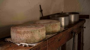 Γραβιέρα: μία ζωντανή κληρονομιά της Κρήτης