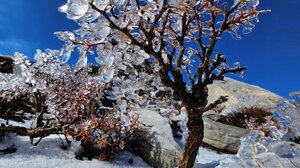 Το πρώτο χιόνι στον Ψηλορείτη - Πρωτοχρονιάτικη απόδραση στο Λιβαδιώτικο αόρι