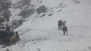 Στα "λευκά" ο Ομαλός της Βιάννου - Ποια σχολεία δεν θα λειτουργήσουν την Τρίτη