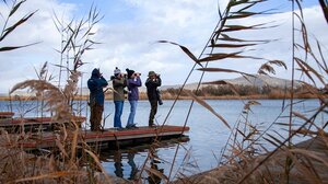 Κρήτη: Πάρτε φακό και φωτογραφική μηχανή και καταγράψτε τα υδρόβια πουλιά!